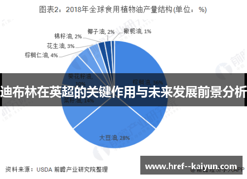 迪布林在英超的关键作用与未来发展前景分析 迪布林在英超的关键作用与未来发展前景分析